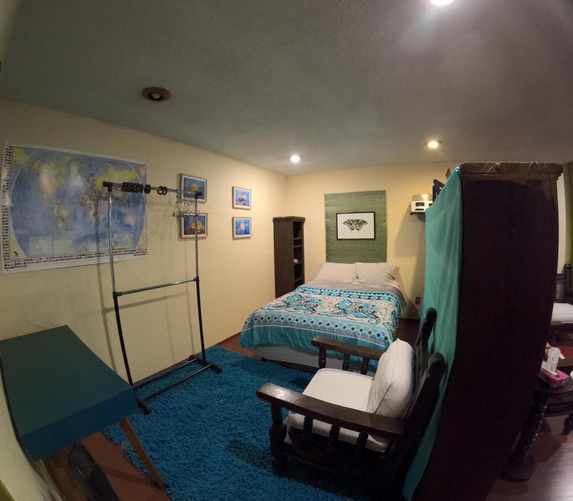 Neighbor Of Frida Khalo, Vintage Stay In Coyoacan Μεξικό Εξωτερικό φωτογραφία