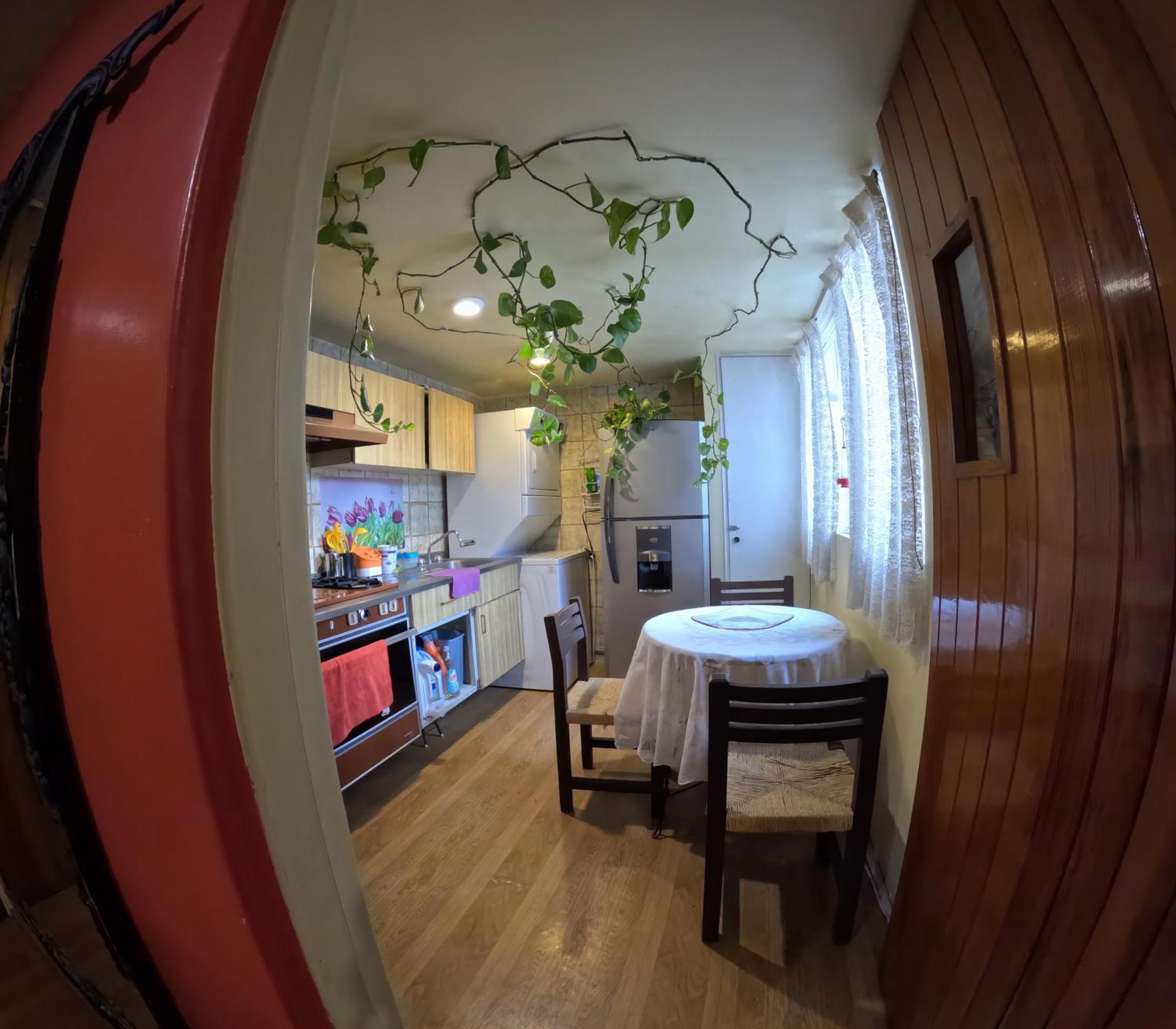 Neighbor Of Frida Khalo, Vintage Stay In Coyoacan Μεξικό Εξωτερικό φωτογραφία