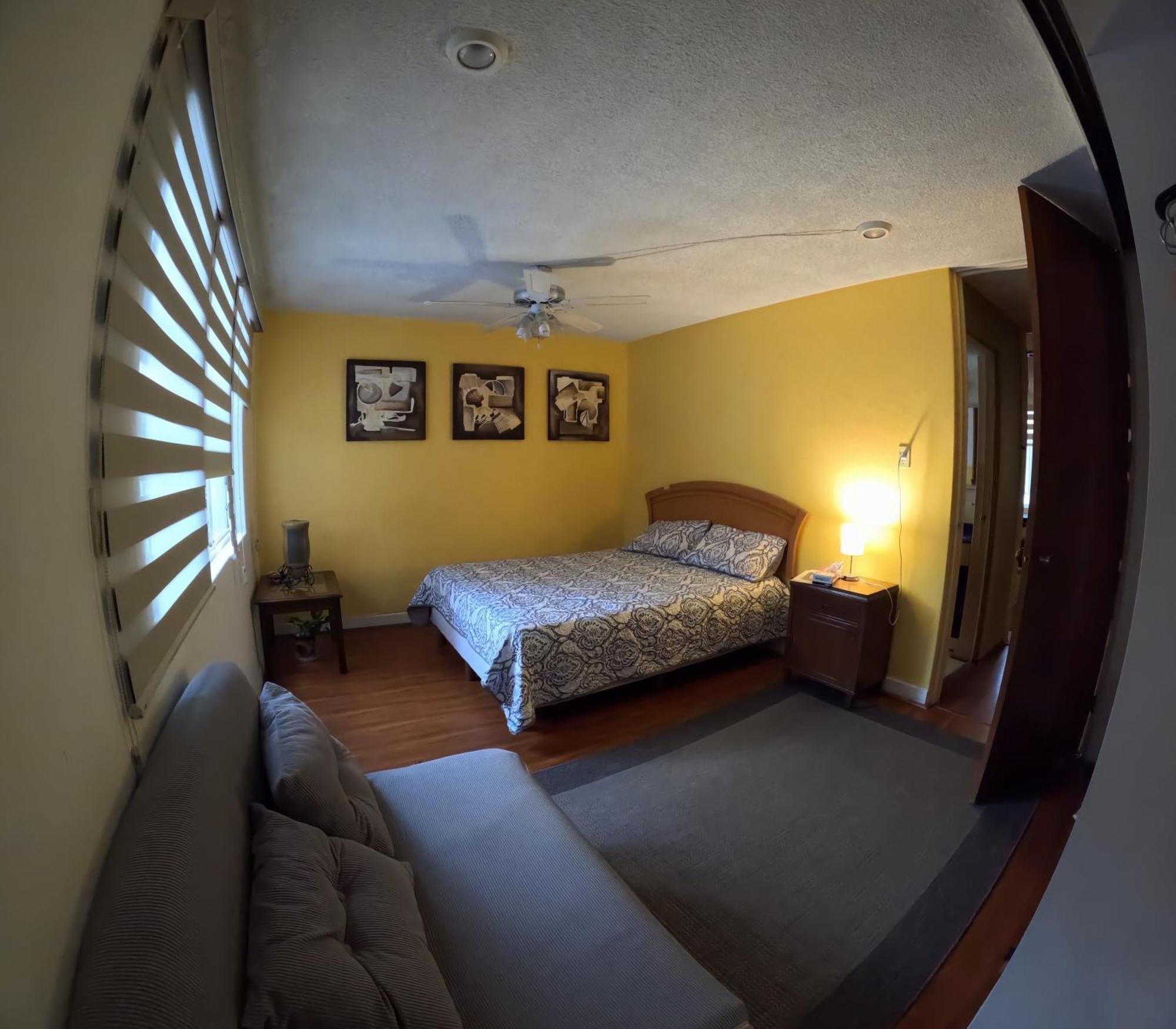 Neighbor Of Frida Khalo, Vintage Stay In Coyoacan Μεξικό Εξωτερικό φωτογραφία